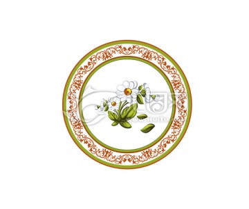 陶瓷盤花紋