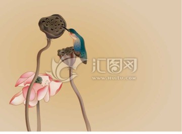 翠鳥(niǎo)荷花工筆畫(huà)矢量圖