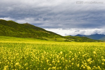 阿坝县 （4）