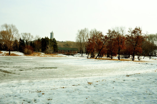 自然雪色风光