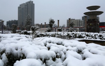 雪景