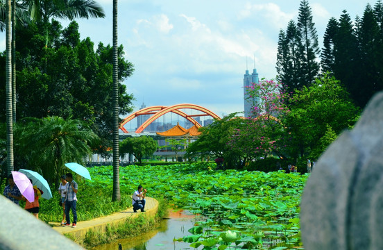 深圳洪湖公园 彩虹桥