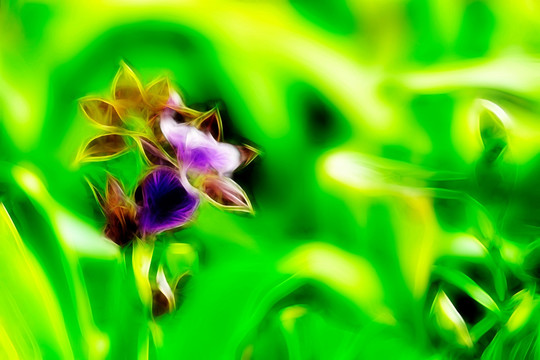 花卉油畫