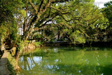 水塘