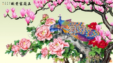 玉蘭牡丹 孔雀