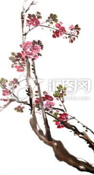 梅花（分層）