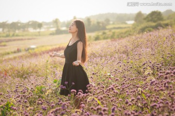 花海里的女孩