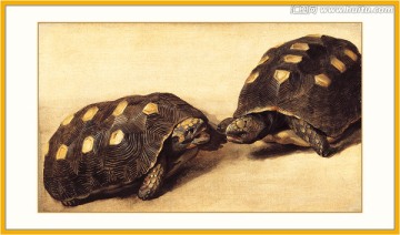 乌龟 动物油画