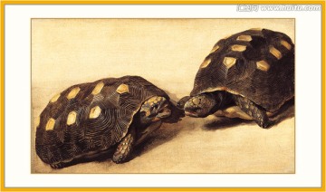 烏龜 動物油畫