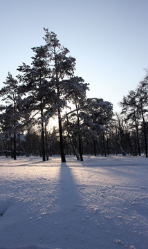 雪景