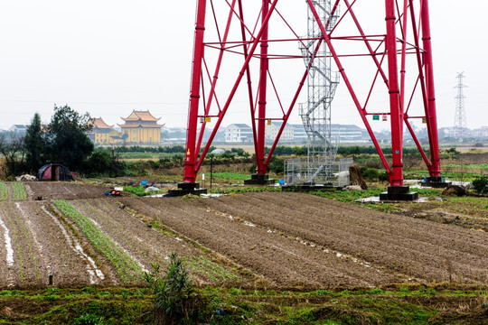 田里的电塔