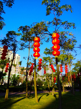 大红灯笼高高挂