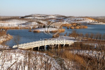 湿地雪景