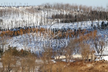 小山雪景