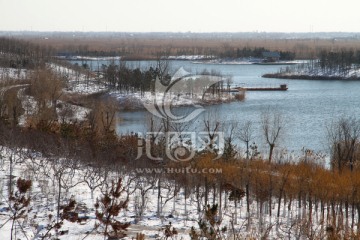 湿地雪景 树林 湖泊