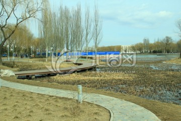海淀公园湿地