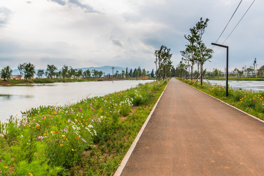 湿地公路