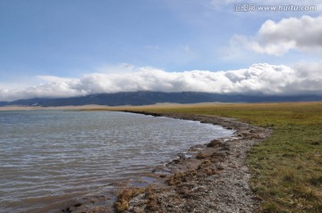 赛里木湖沼泽湿地