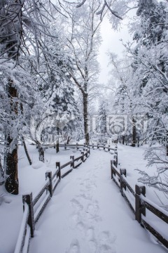 雪乡雪景