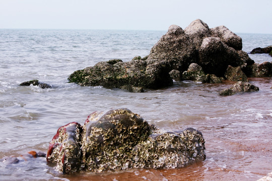 礁石 海边 鱼鳞洲 自然风景