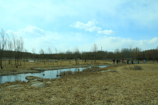 河道干涸