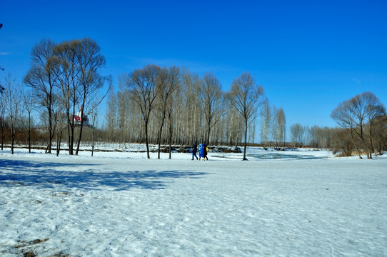 雪景情怀