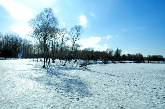 冬天户外雪景