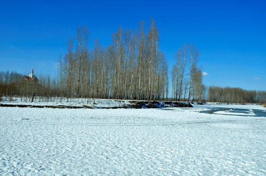 雪中林海