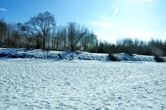 雪地风光