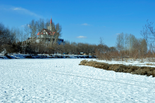 白雪林地