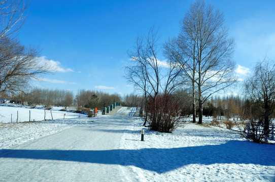 雪中通道