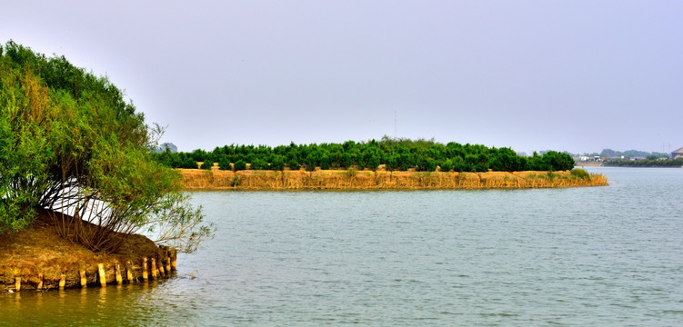 湖泊湿地