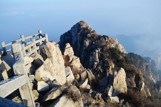 山东泰山