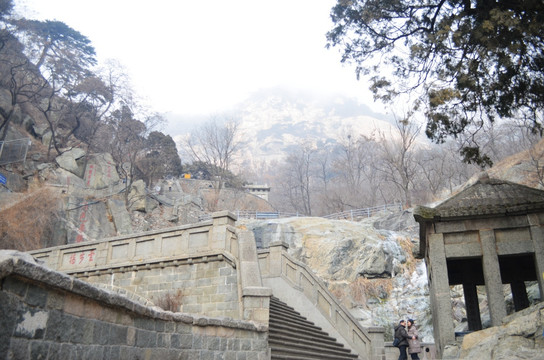 山東泰山