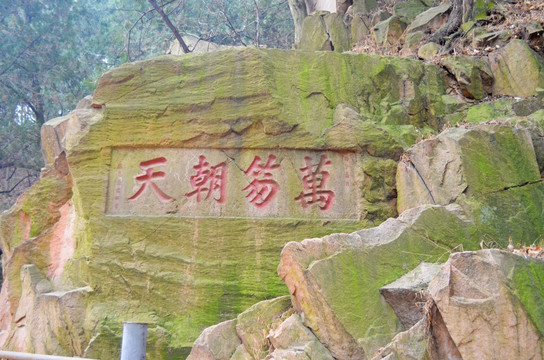 山东泰山