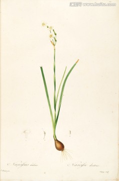 歐式手繪花草裝飾畫(huà) 畫(huà)廊品質(zhì)