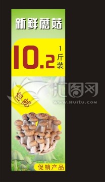 蘑菇廣告