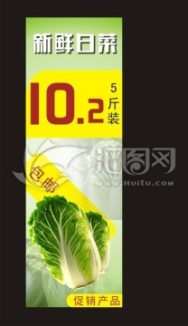 白菜廣告