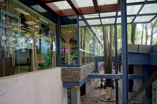 湖滨茶楼 自然风格走廊