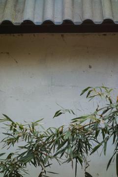 青瓦白墙绿竹