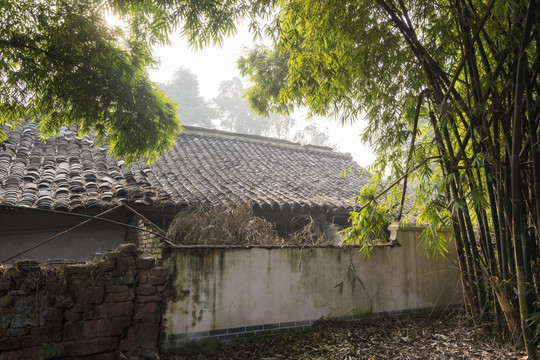 竹林与白墙灰瓦的残破古民居