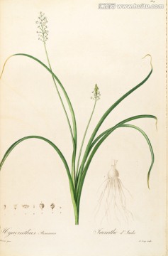 歐式古典花卉油畫 畫廊品質(zhì)