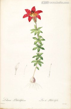 鄉(xiāng)村田園花卉油畫 畫廊高清