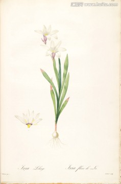 鄉(xiāng)村田園花卉油畫(huà) 畫(huà)廊高清