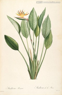鄉(xiāng)村田園花卉油畫 畫廊高清