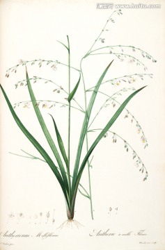 簡(jiǎn)約花卉靜物裝飾畫 畫廊品質(zhì)