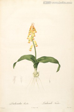 簡(jiǎn)約花卉靜物裝飾畫(huà) 畫(huà)廊品質(zhì)