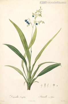 美克美家花卉油畫 畫廊品質(zhì)