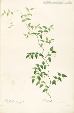 美克美家花卉油畫 畫廊品質(zhì)