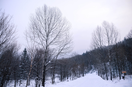 雪谷